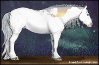 Horse Color:Watercolor Red Onyx Splash Appaloosa 