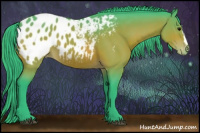 Horse Color:Watercolor Bay Appaloosa