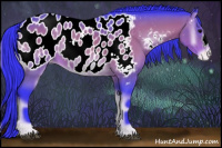 Horse Color:Watercolor Bay Onyx Appaloosa 