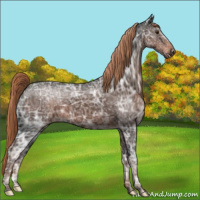 Horse Color:Liver Chestnut Ice 
