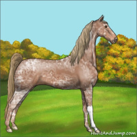 Horse Color:Chestnut Ice 