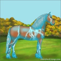 Horse Color:Thunderstruck Silver Bay 