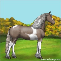 Horse Color:Silver Black Tobiano 