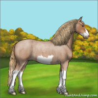 Horse Color:Red Roan Splash Frame 