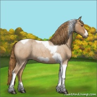 Horse Color:Red Roan Tobiano Frame 