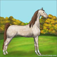 Horse Color:Red Dun Ice 