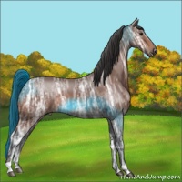Horse Color:Bay Ice 