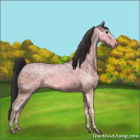 Horse Color:Bay Ice 