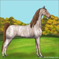 Horse Color:Red Ice Roan 