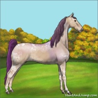 Horse Color:Red Dun Ice 