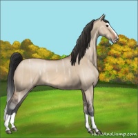Horse Color:Bay Ice Dun Splash 