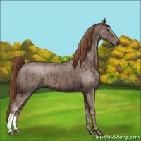 Horse Color:Chestnut Ice 