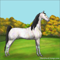 Horse Color:Bay Ice Roan Dun 