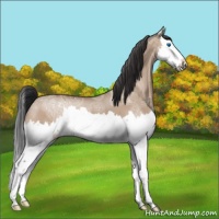 Horse Color:Bay Ice Roan Dun Splash 