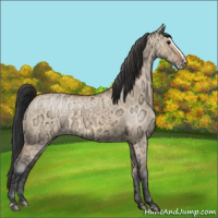 Horse Color:Bay Roan Dun  and Bay Ice Dun Splash 