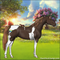 Horse Color:Liver Chestnut Tobiano 