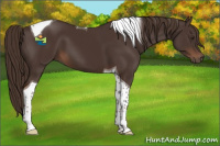 Horse Color:Liver Chestnut Tobiano 
