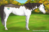 Horse Color:Smoky Grullo Splash 