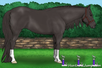 Horse Color:Smoky Black 