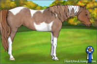 Horse Color:Liver Red Roan Tobiano 
