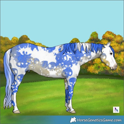 Horse Color:Watercolor White Spotted Buckskin Splash 