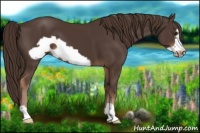 Horse Color:Liver Chestnut Frame