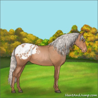 Horse Color:Silver Brown Pearl Appaloosa 