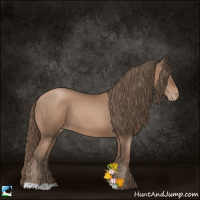 Horse Color:Black Pearl 