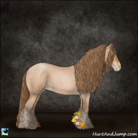 Horse Color:Bay Roan Pearl Rabicano 