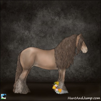 Horse Color:Black Pearl