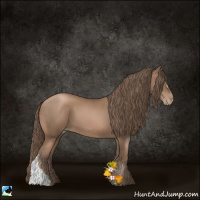 Horse Color:Black Pearl 