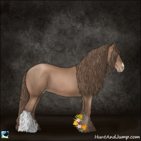 Horse Color:Black Pearl 