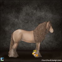 Horse Color:Black Pearl