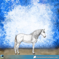 Horse Color:Gray Buckskin Roan Dun Sabino Appaloosa Rabicano 