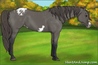 Horse Color:Grullo Frame Blanket 