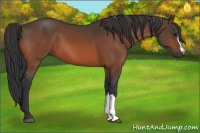 Horse Color:Brown 