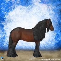 Horse Color:Brown Rabicano