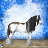Horse Color:Bay Dun Splash Frame 