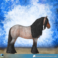 Horse Color:Bay Roan Rabicano 