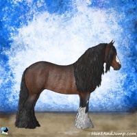 Horse Color:Brown Rabicano 