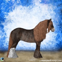 Horse Color:Liver Chestnut Ice Rabicano