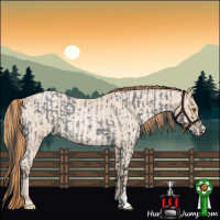 Horse Color:Blue Roan and Buckskin Roan Pearl