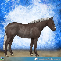 Horse Color:Liver Chestnut Mushroom Rabicano 
