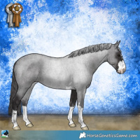 Horse Color:Smoky Black Mushroom 