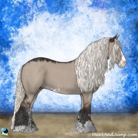 Horse Color:Liver Red Dun Mushroom Sabino Rabicano 