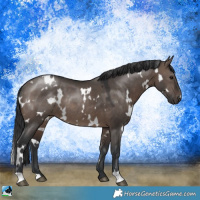 Horse Color:White Spotted Brown Dun Mushroom Rabicano 