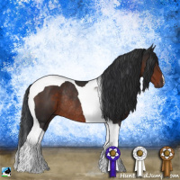 Horse Color:Brown Tobiano Rabicano