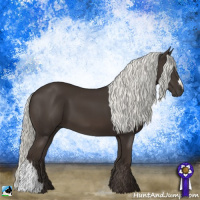 Horse Color:Liver Chestnut Mushroom 