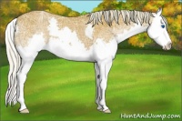 Horse Color:Silver Bay Ice Splash 