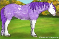Horse Color:Watercolor Chestnut Ice Sabino Splash
